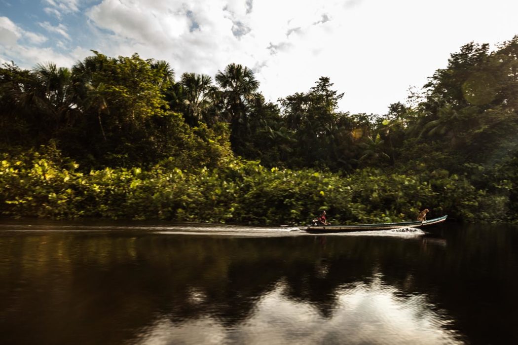 Homem navega com canoa no rio com cachorro na ponta proa no meio da selva no Pará