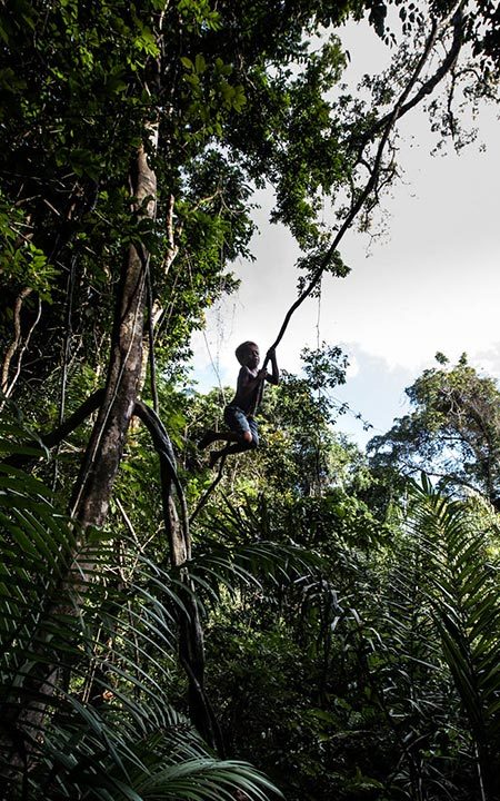 Garoto criança saltando na selva amazônica em cipó